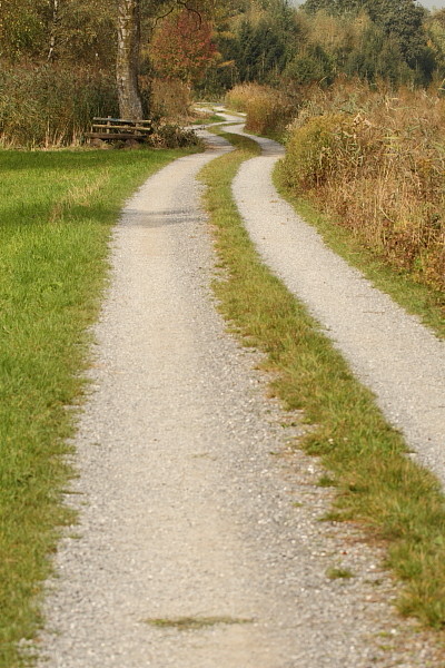 Herbst im Schweizerried
