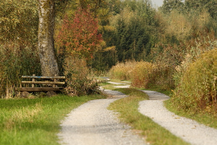 Herbst im Schweizerried