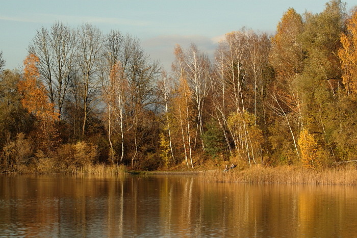 Herbstliche Rheinauen Hohenems