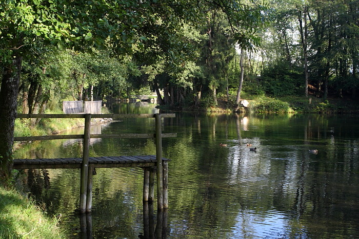 Die Weiher in Thüringen 2
