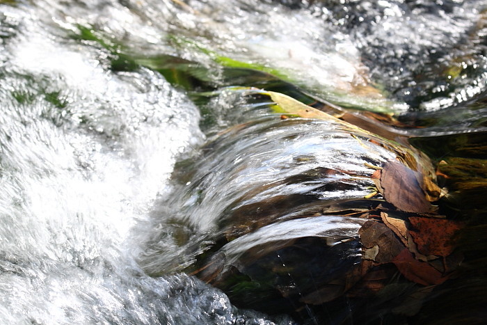 Die Weiher in Thüringen 3