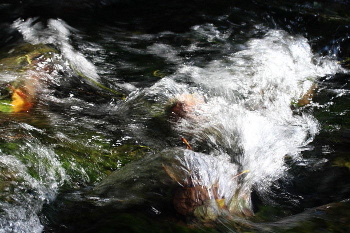 Die Weiher in Thüringen 4