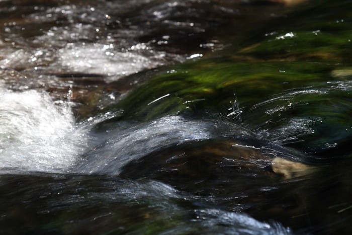 Die Weiher in Thüringen 5