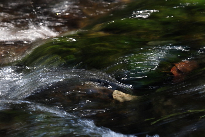 Die Weiher in Thüringen 6