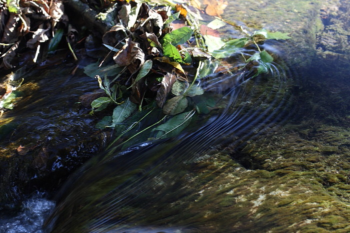 Die Weiher in Thüringen 7