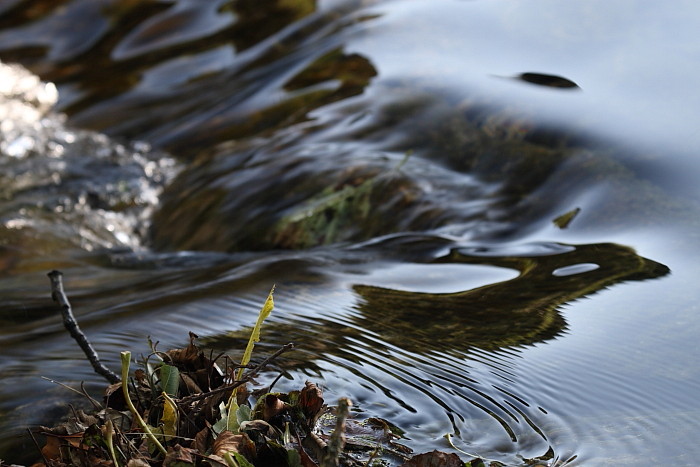 Die Weiher in Thüringen 8