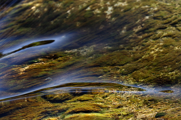 Die Weiher in Thüringen 9