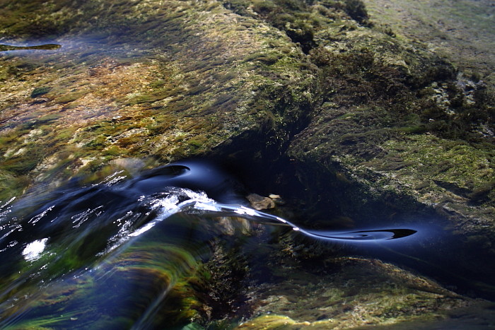 Die Weiher in Thüringen 10