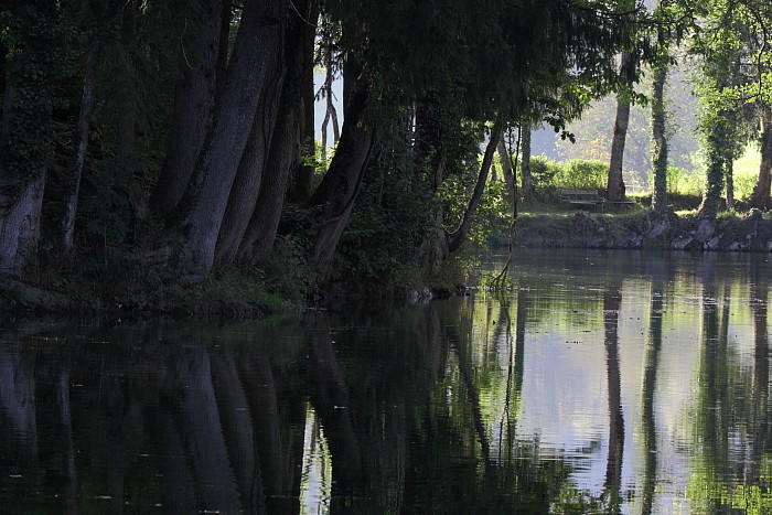 Die Weiher in Thüringen 11