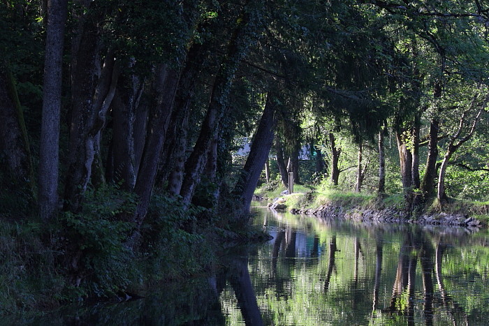 Die Weiher in Thüringen 12