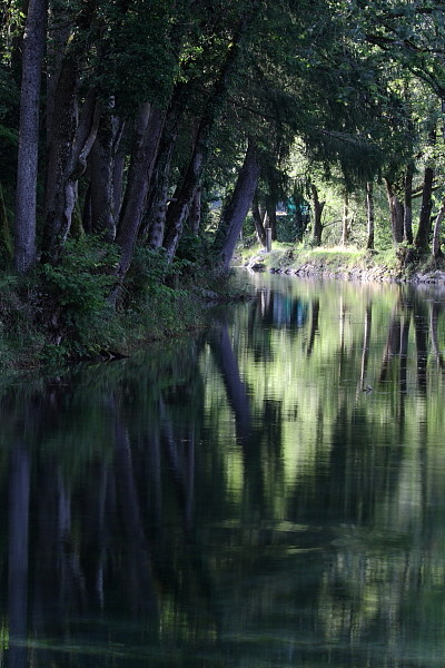 Die Weiher in Thüringen 13