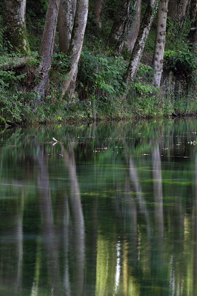 Die Weiher in Thüringen 14