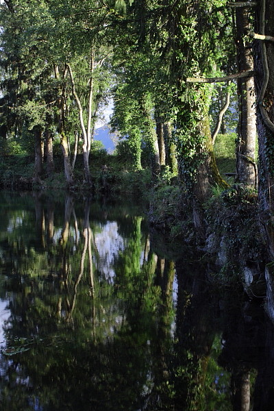 Die Weiher in Thüringen 15