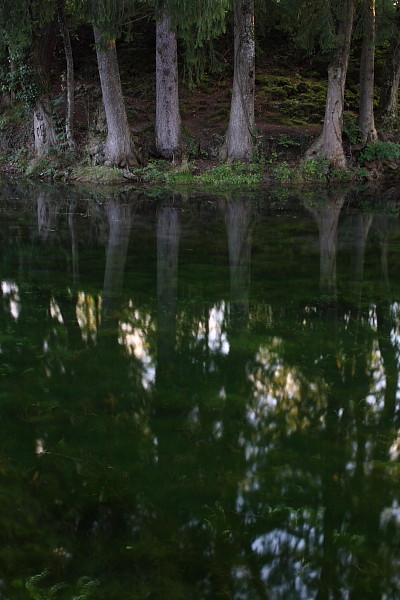 Die Weiher in Thüringen 16