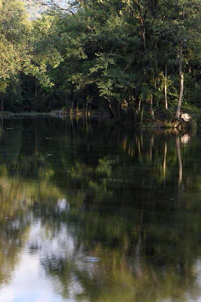 Die Weiher in Thüringen 18