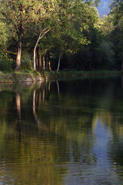 Die Weiher in Thüringen 19