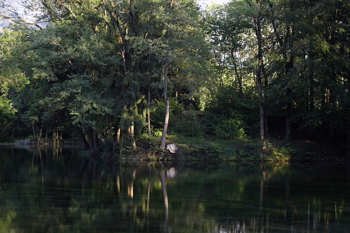 Die Weiher in Thüringen 20