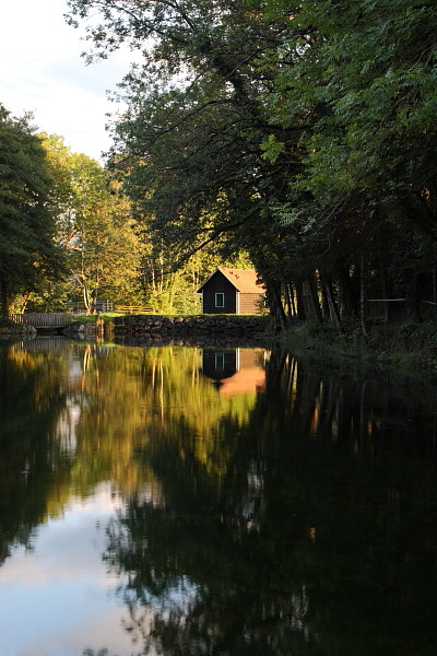 Die Weiher in Thüringen 21