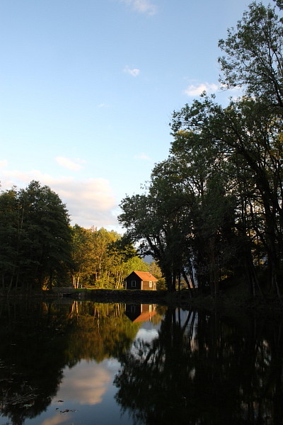 Die Weiher in Thüringen 22