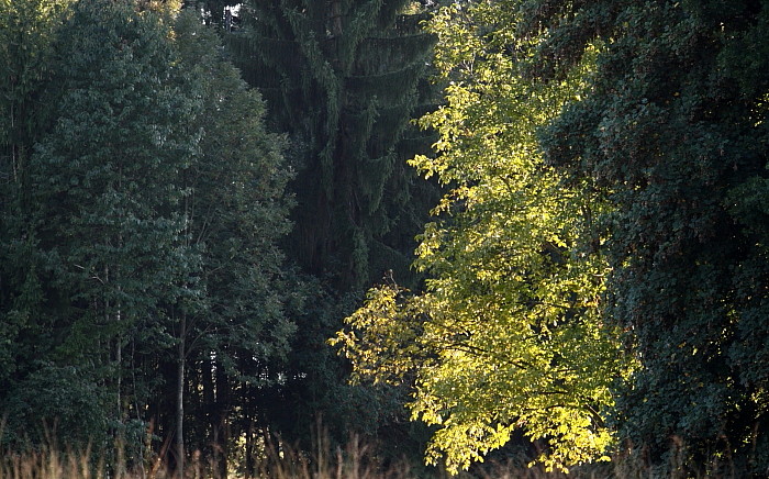 Septemberimpressionen 4