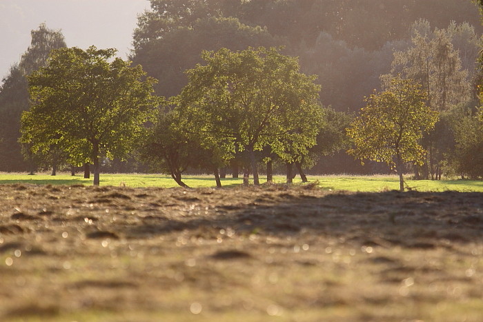 Septemberimpressionen 5