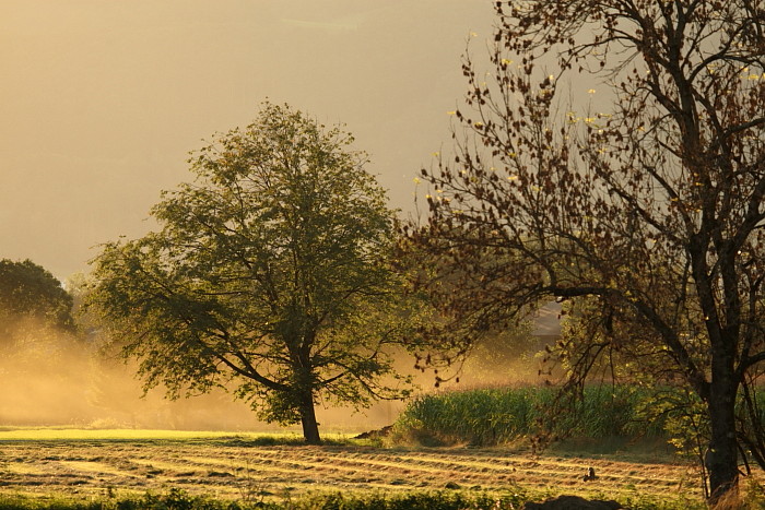 Septemberimpressionen 6