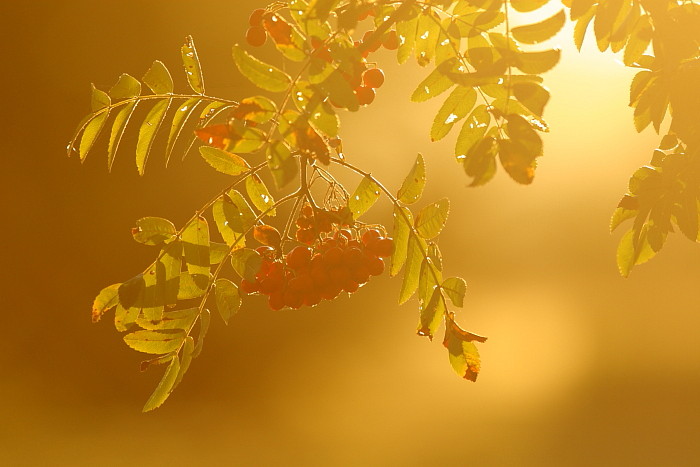 Septemberimpressionen 7