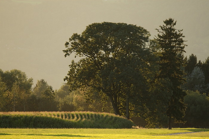 Septemberimpressionen 8