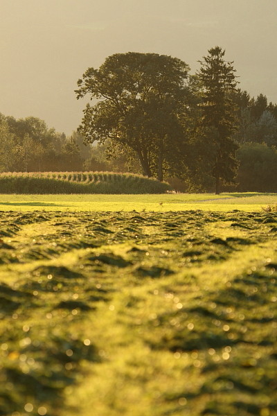 Septemberimpressionen 9