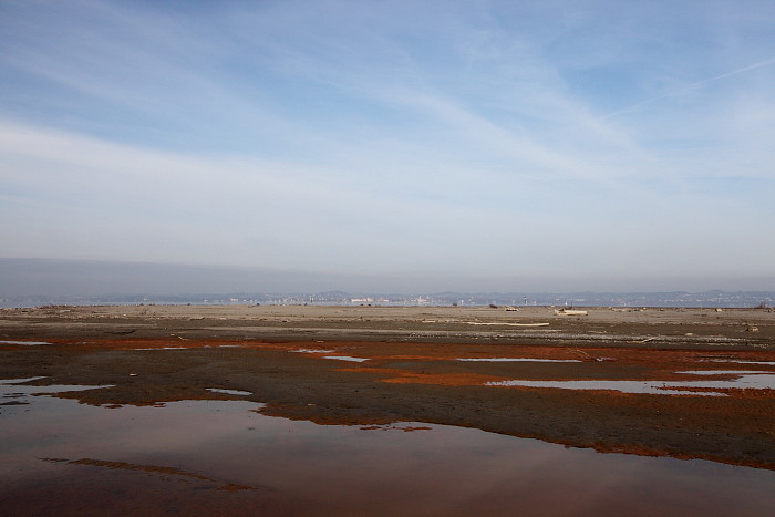 Bregenzerachmündung 1