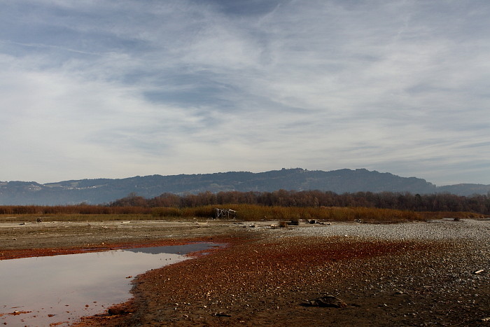 Bregenzerachmündung 3