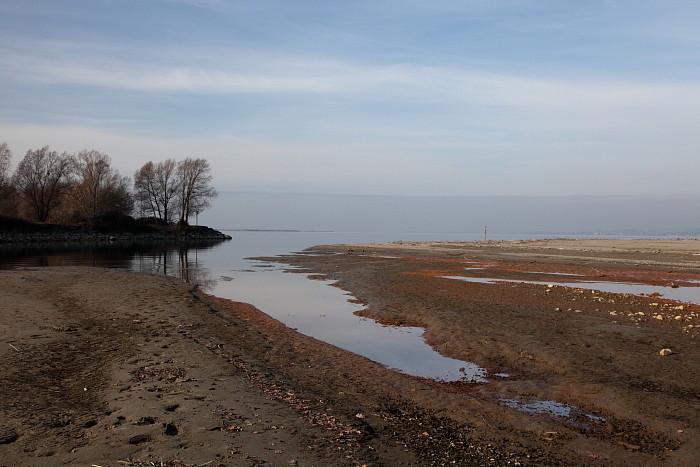 Bregenzerachmündung 4