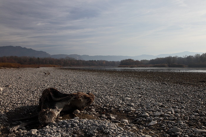 Bregenzerachmündung 5