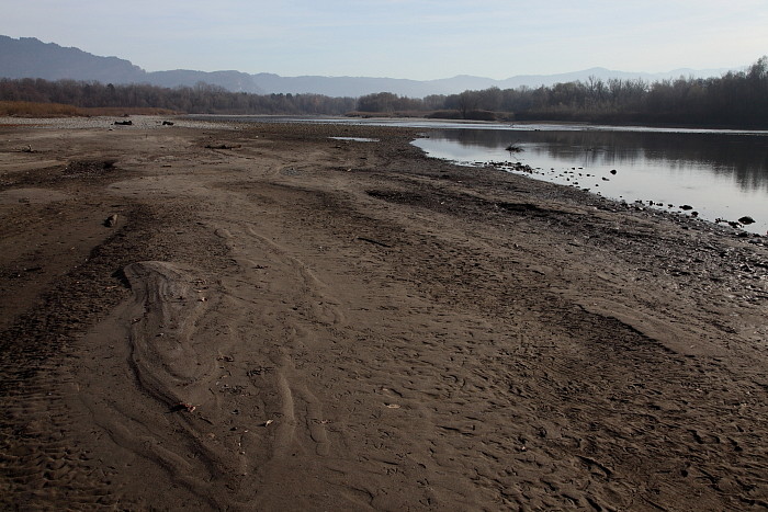 Bregenzerachmündung 6