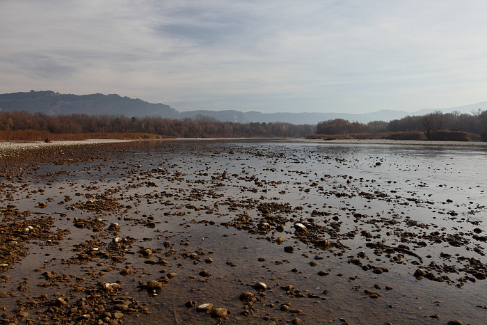 Bregenzerachmündung 7