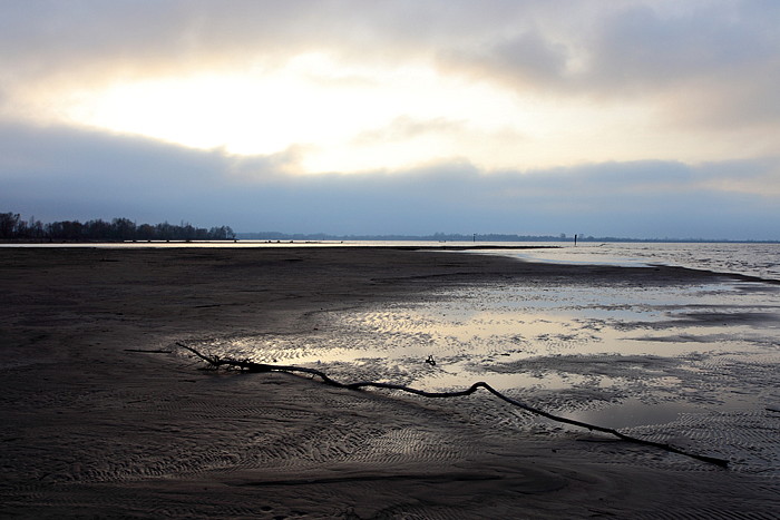 Bregenzerachmündung 6