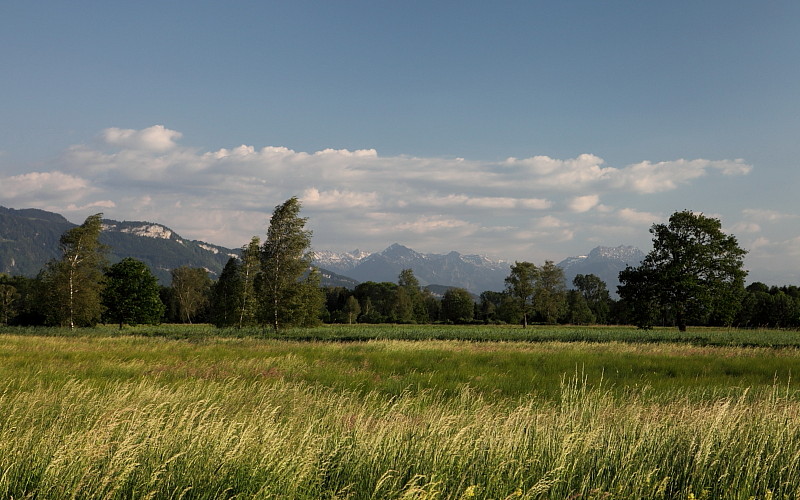 Stürmisches Schweizerried 2