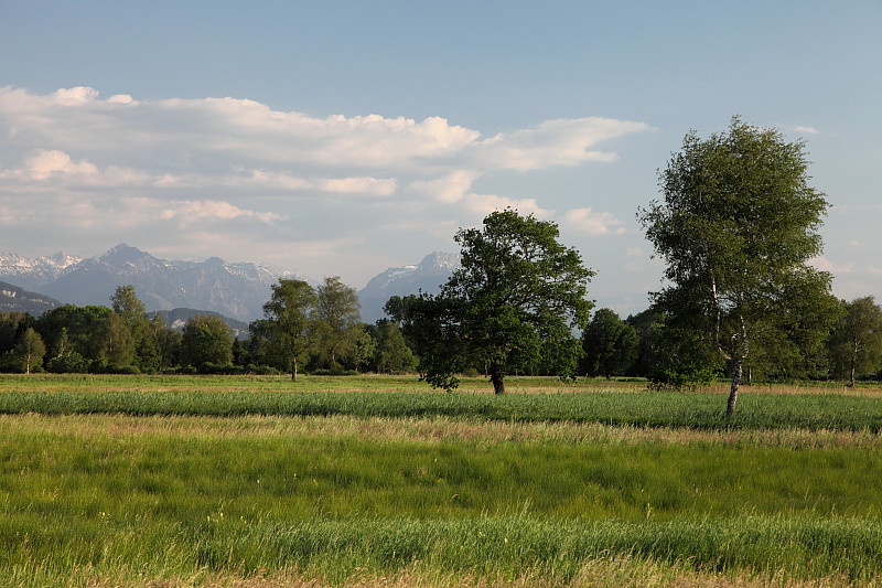 Stürmisches Schweizerried 6
