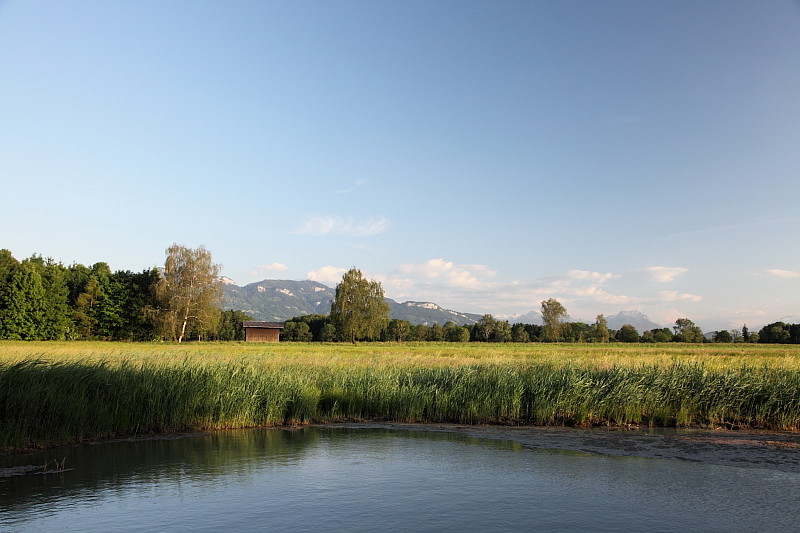 Stürmisches Schweizerried 10