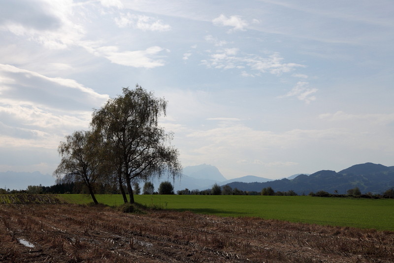 Ins Land schauen im Oktober Bild 3