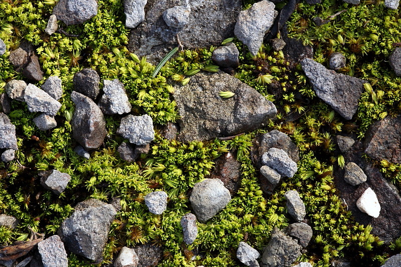 Details vom Steinbruch Bild 2