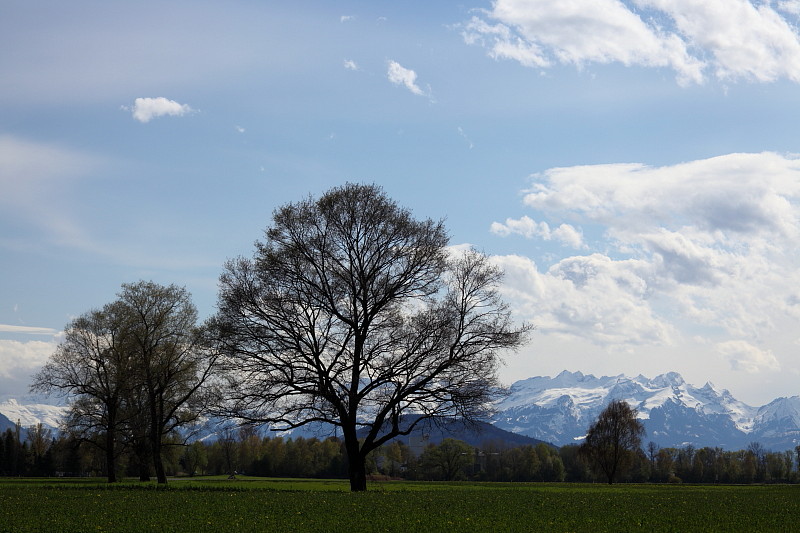 Ins Land schauen im April 3