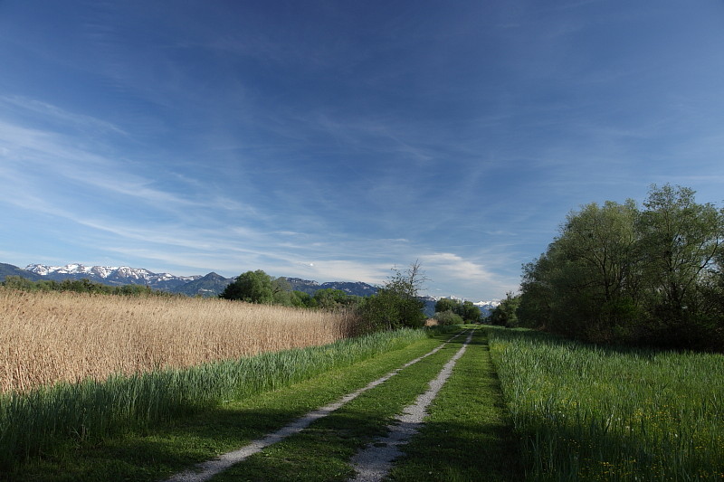 Rund ums Schleienloch Bild 9