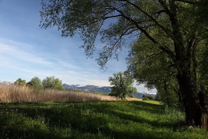 Rund ums Schleienloch Bild 10