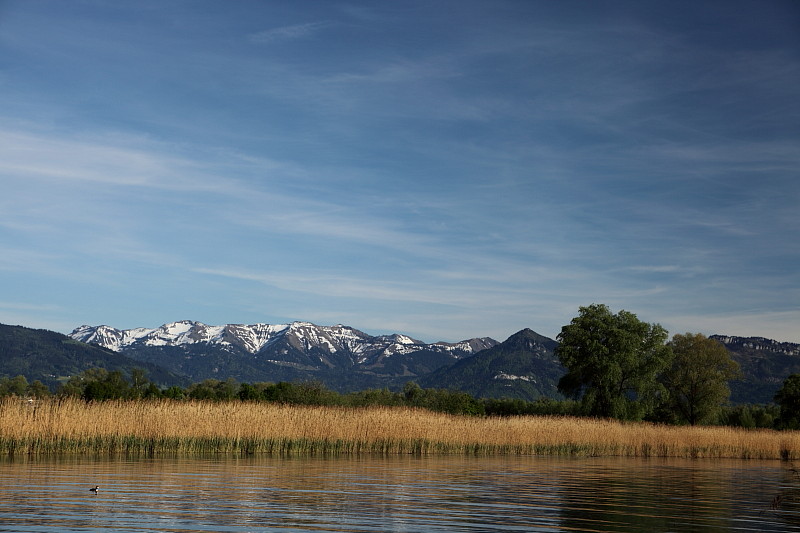 Rund ums Schleienloch Bild 11