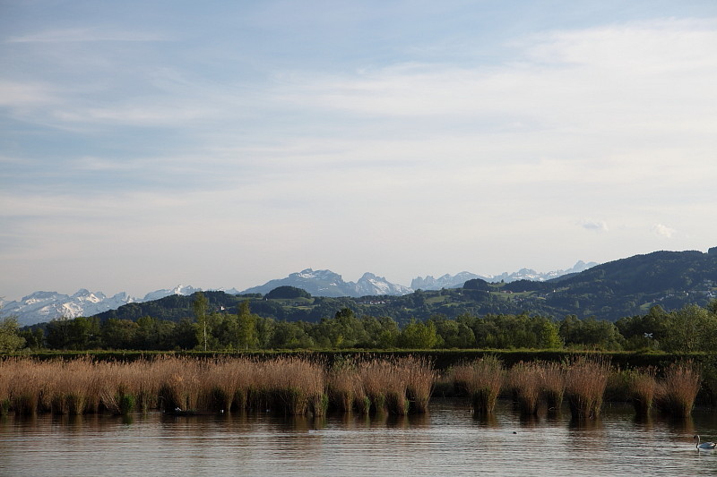 Rund ums Schleienloch Bild 13