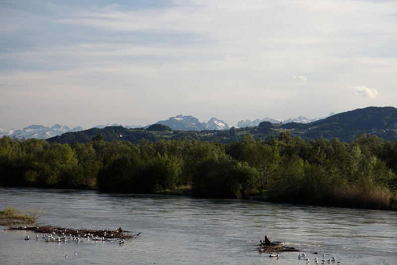 Rund ums Schleienloch Bild 14