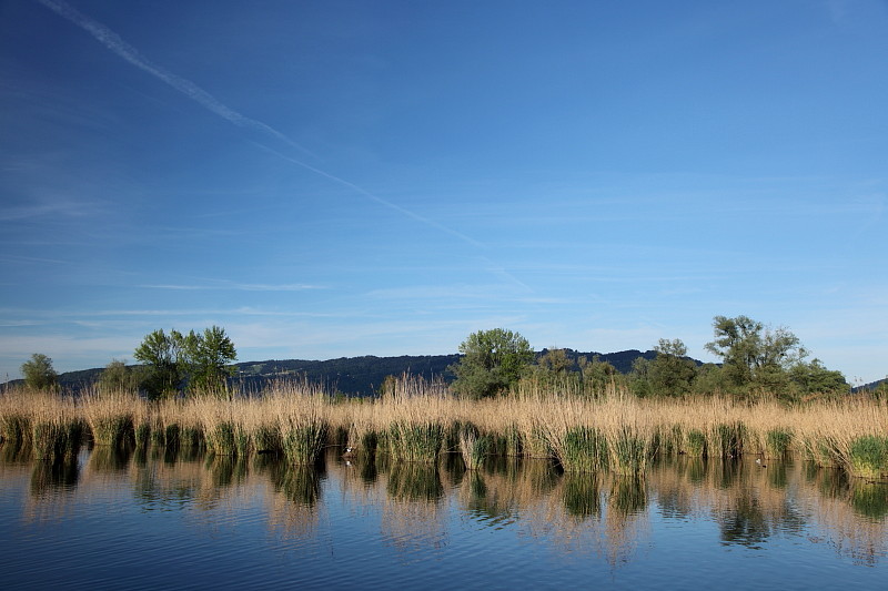 Rund ums Schleienloch Bild 15