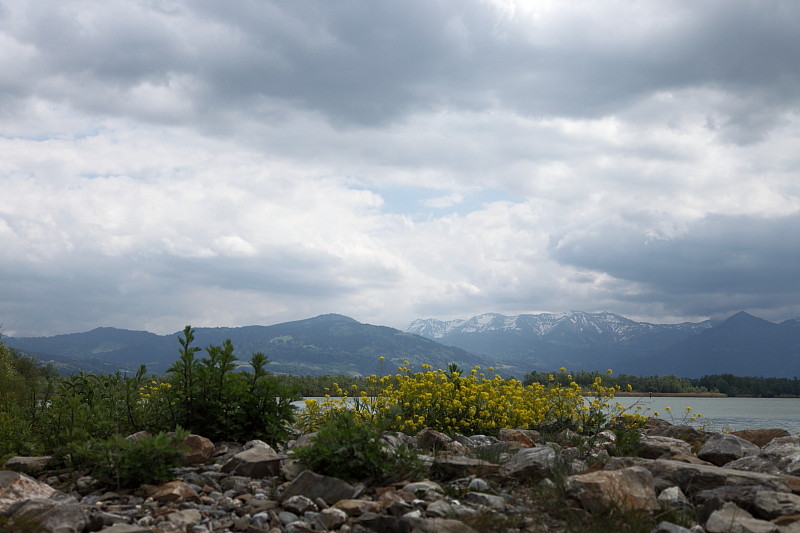 Rund um die Rheinmündung Bild 5