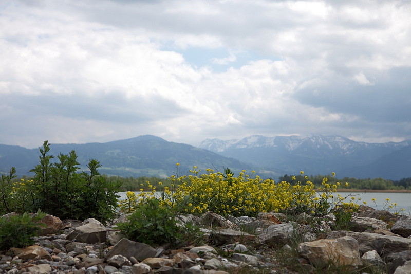 Rund um die Rheinmündung Bild 6